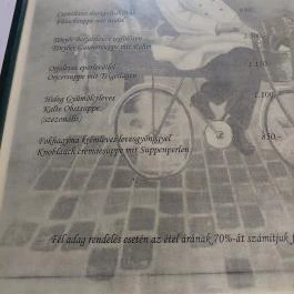 Vadász Betérő, Tényő - Étlap/itallap