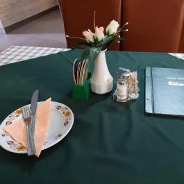 Vadász Betérő, Tényő - Egyéb