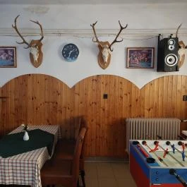 Vadász Betérő, Tényő - Belső