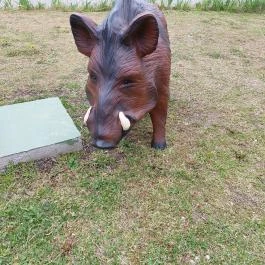 Vadászcsárda Zalacsány - Egyéb