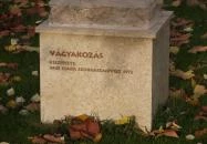 Vágyakozás Lajosmizse