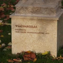 Vágyakozás Lajosmizse - Egyéb