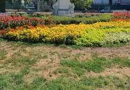 Vak Bottyán szobor Budapest