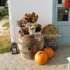 Vánkos Badacsonyörs - Külső kép