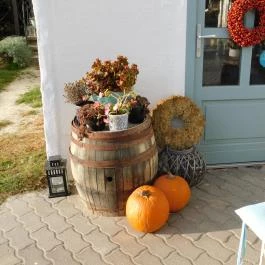 Vánkos Badacsonyörs - Külső kép