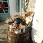 Vánkos Badacsonyörs - Egyéb