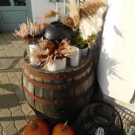 Vánkos Badacsonyörs - Egyéb