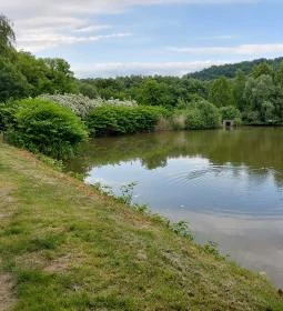 Várgesztesi horgásztó