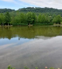 Várgesztesi horgásztó