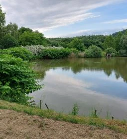 Várgesztesi horgásztó