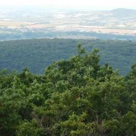 Várhely-kilátó, Sopron - Egyéb