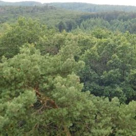 Várhely-kilátó, Sopron - Egyéb