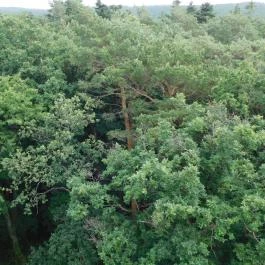 Várhely-kilátó, Sopron - Egyéb