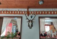 Varietas Vendéglő Vésztő