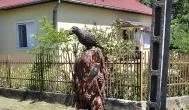 A varjú, a szőlő és a róka, Jen?