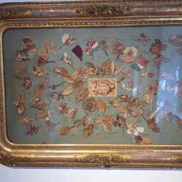 Vármegyeháza, Szekszárd - Egyéb