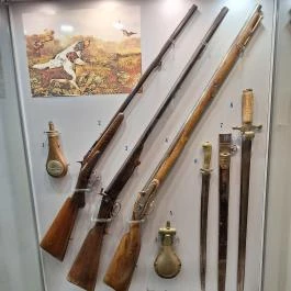 Vármegyeháza, Szekszárd - Egyéb