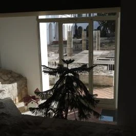 Vármegyeháza, Szekszárd - Egyéb