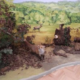 Vármegyeháza, Szekszárd - Egyéb