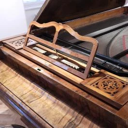 Vármegyeháza, Szekszárd - Egyéb