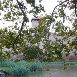 Gyulai Vár, Gyula - 