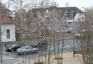 Városháza Kiskunfélegyháza