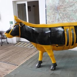 Városi Tömegközlekedési Múzeum, Szentendre - Egyéb