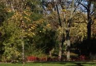 Városliget Budapest