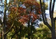 Városliget Budapest