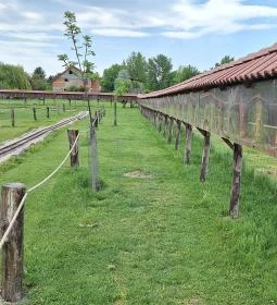 Várpark és Skanzen