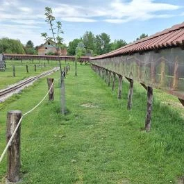 Várpark és Skanzen Dinnyés - Külső kép