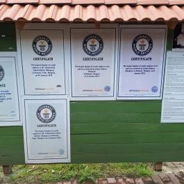 Várpark és Skanzen Dinnyés - Egyéb