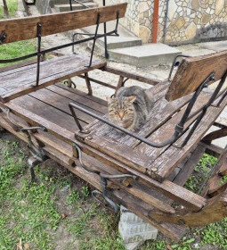 Várvölgy Vendéglő