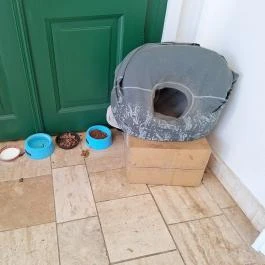 Vásárhelyi–Bréda-kastély, Lőkösháza - Egyéb