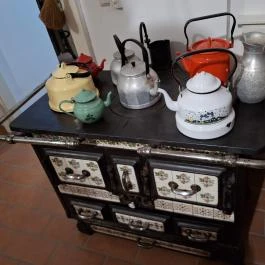 Vásárhelyi–Bréda-kastély, Lőkösháza - Egyéb