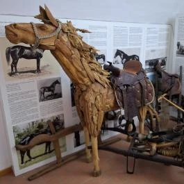 Vásárhelyi–Bréda-kastély, Lőkösháza - Egyéb