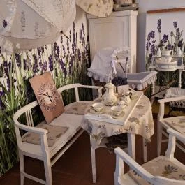 Vásárhelyi–Bréda-kastély, Lőkösháza - Egyéb