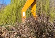 Vasgyúró óriás Mecseknádasd