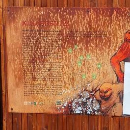 Vasgyúró óriás Mecseknádasd - Egyéb