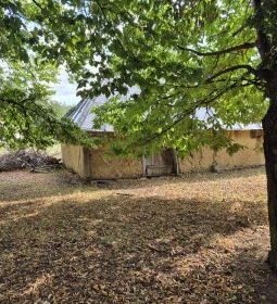 Vasi Skanzen