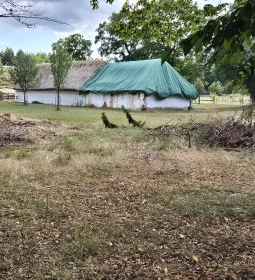 Vasi Skanzen