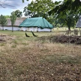 Vasi Skanzen, Szombathely - Külső kép