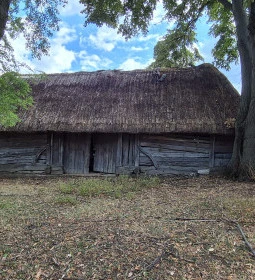 Vasi Skanzen