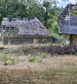 Vasi Skanzen