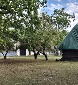 Vasi Skanzen