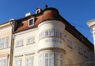 Vastuskó céhfa Győr