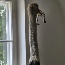 Vasvári Múzeum Vasvár - Belső