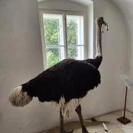 Vasvári Múzeum Vasvár - Belső