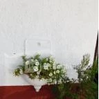 Vén Platán Söröző Monostorapáti - Külső kép