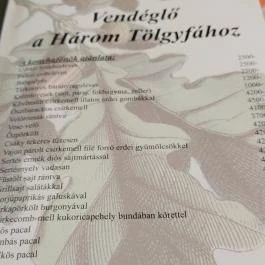 Vendéglő a Három Tölgyfához Tatabánya - Étlap/itallap